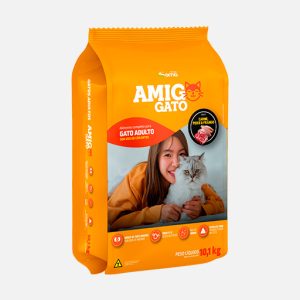 Amigo - gato adulto