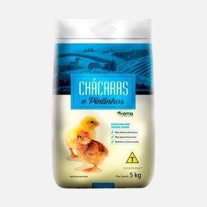 Chácaras e pintinhos